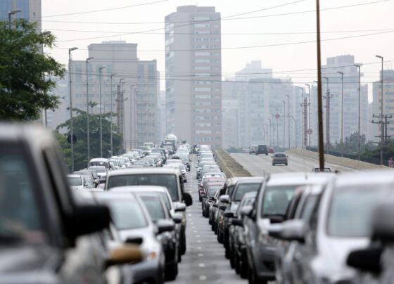 transferência